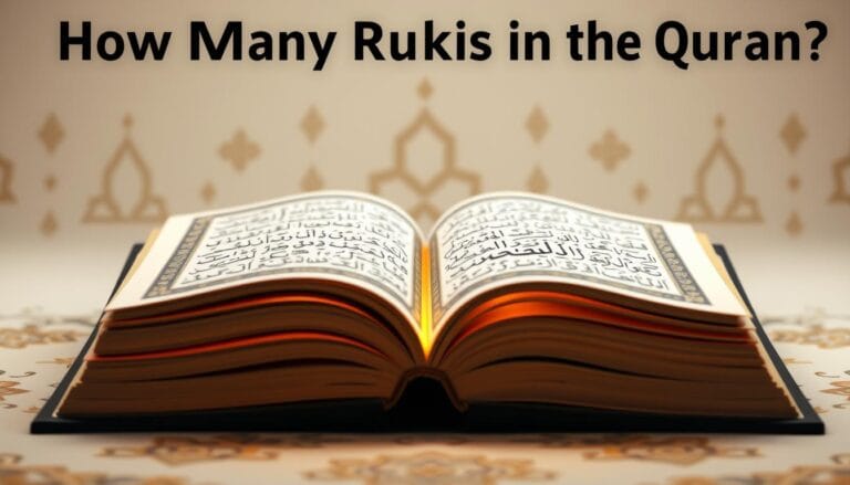 how many ruku in quran